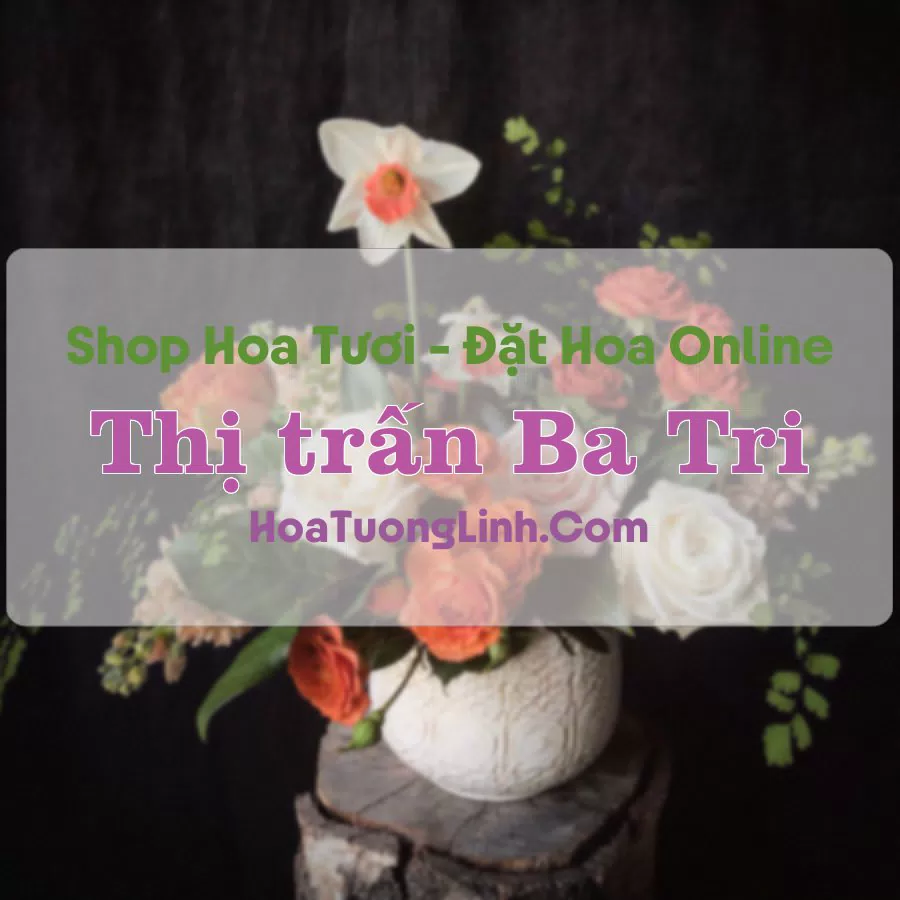 Shop Hoa Tươi Thị Trấn Ba Tri – Bến Tre