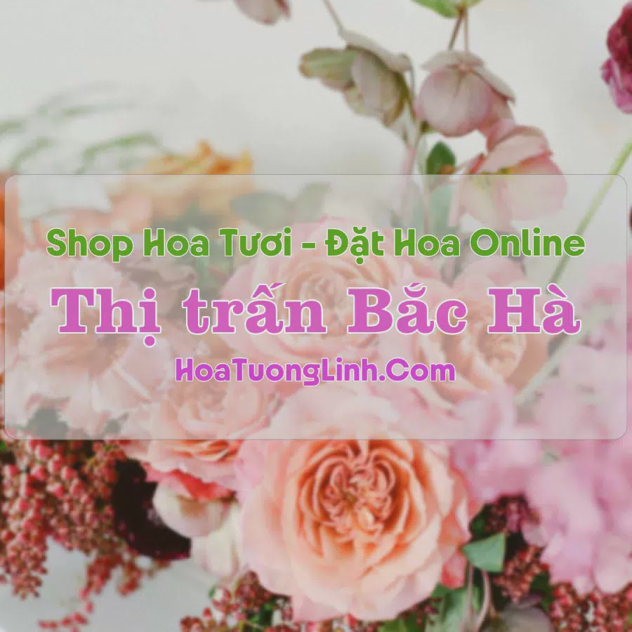 Shop Hoa Tươi Thị Trấn Bắc Hà - Lào Cai