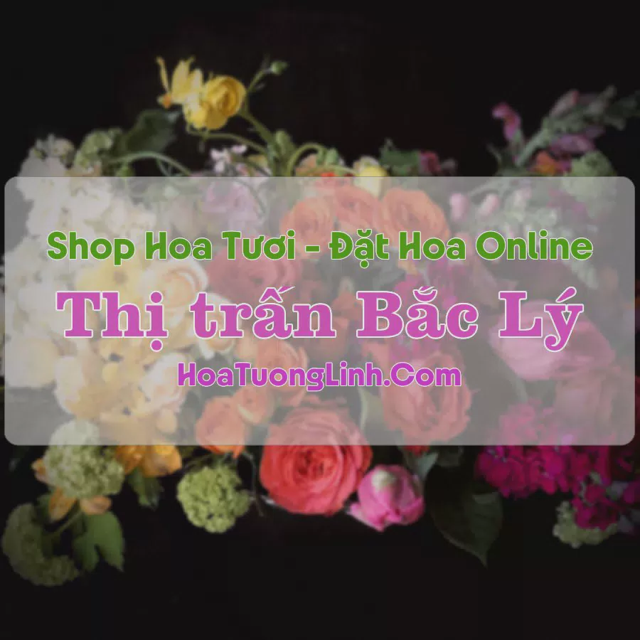 Shop Hoa Tươi Thị Trấn Bắc Lý - Bắc Giang