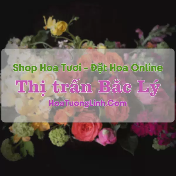 Shop Hoa Tươi Thị Trấn Bắc Lý - Bắc Giang
