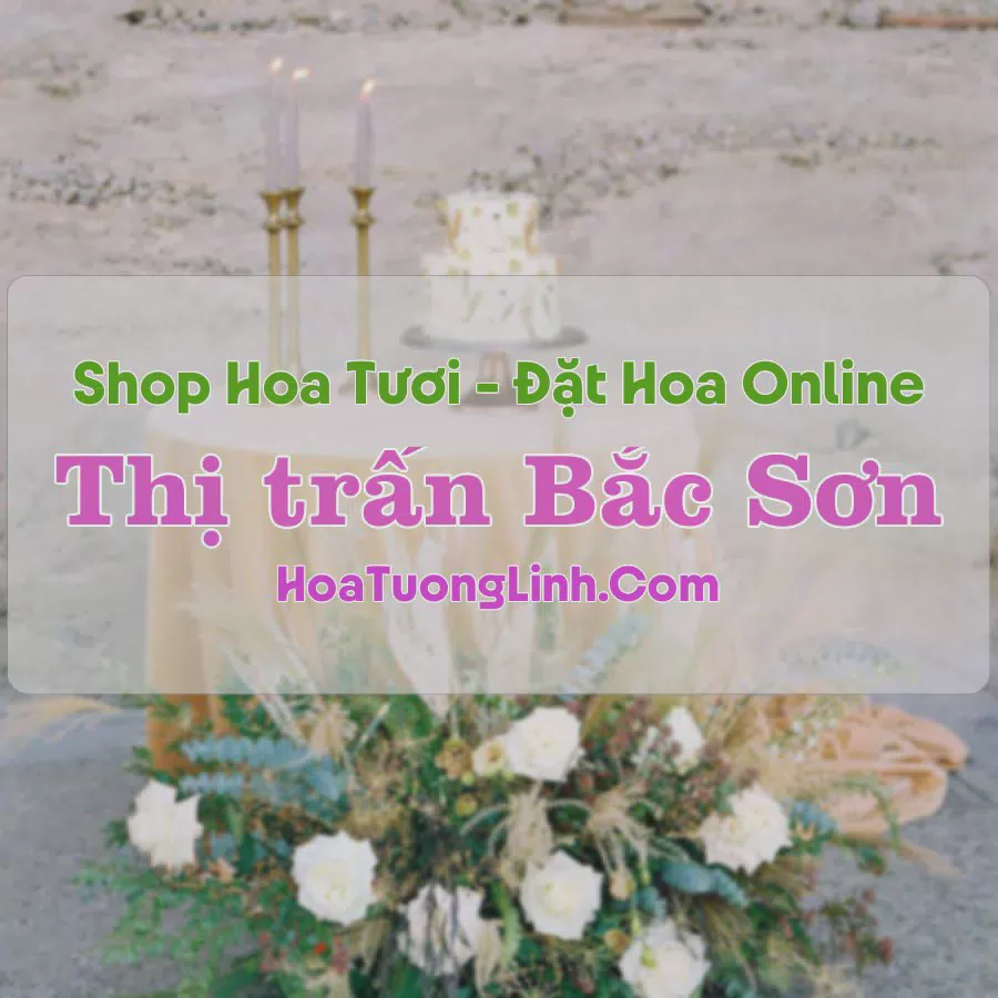 Shop Hoa Tươi Thị Trấn Bắc Sơn - Lạng Sơn