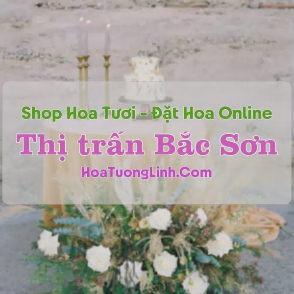 Shop Hoa Tươi Thị Trấn Bắc Sơn - Lạng Sơn