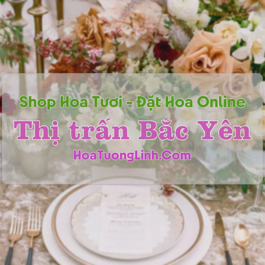 Shop Hoa Tươi Thị Trấn Bắc Yên - Sơn La