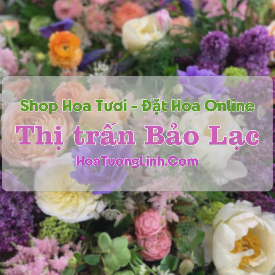 Shop Hoa Tươi Thị Trấn Bảo Lạc - Cao Bằng