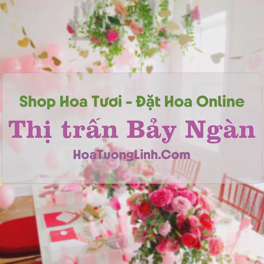Shop Hoa Tươi Thị Trấn Bảy Ngàn - Hậu Giang