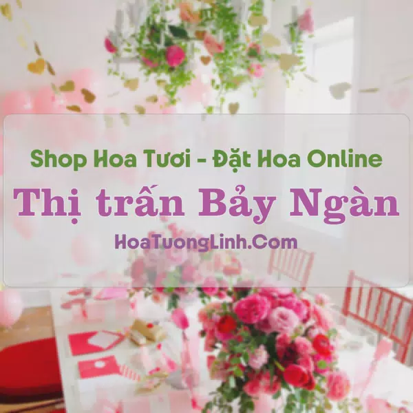 Shop Hoa Tươi Thị Trấn Bảy Ngàn - Hậu Giang