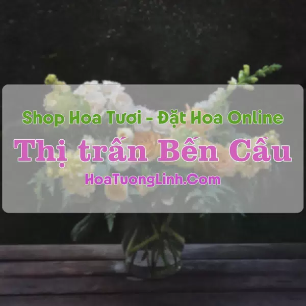 Shop Hoa Tươi Thị trấn Bến Cầu - Tây Ninh
