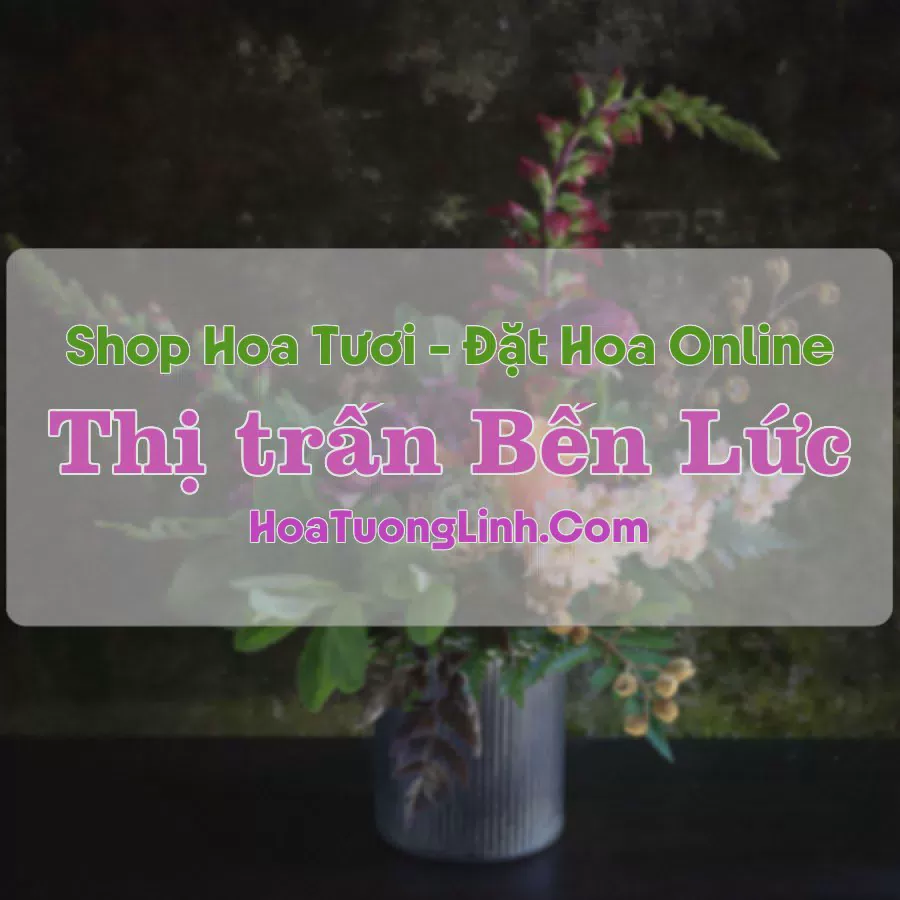 Shop Hoa Tươi Thị trấn Bến Lức - Long An
