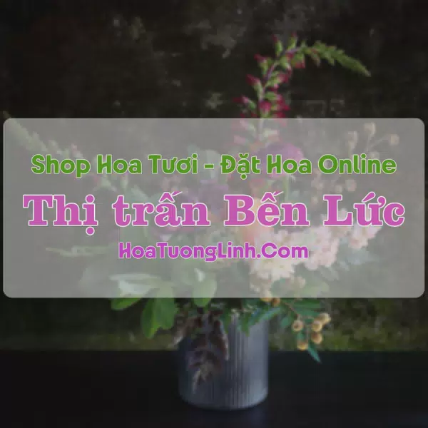 Shop Hoa Tươi Thị trấn Bến Lức - Long An