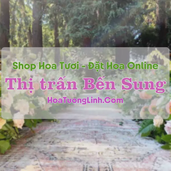 Shop Hoa Tươi Thị trấn Bến Sung - Thanh Hóa