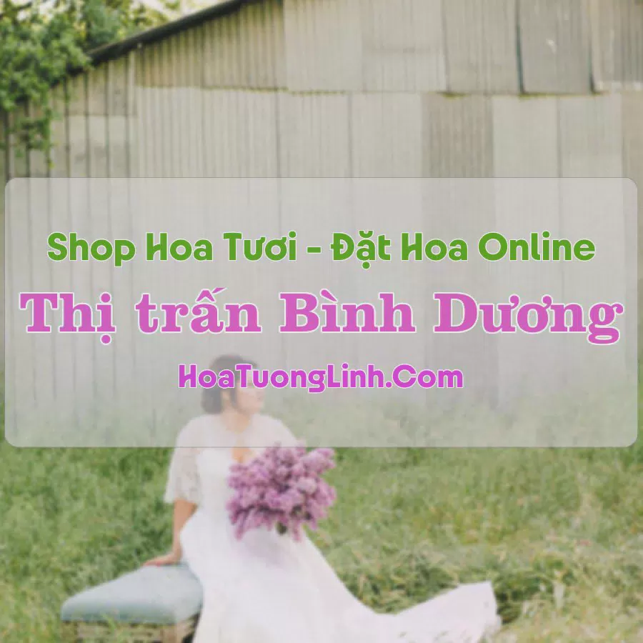 Shop Hoa Tươi Thị trấn Bình Dương - Bình Định