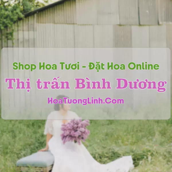 Shop Hoa Tươi Thị trấn Bình Dương - Bình Định