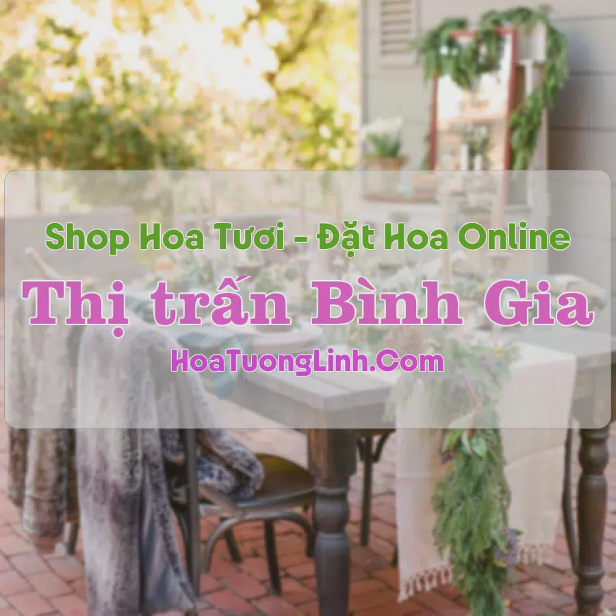 Shop Hoa Tươi Thị Trấn Bình Gia - Lạng Sơn
