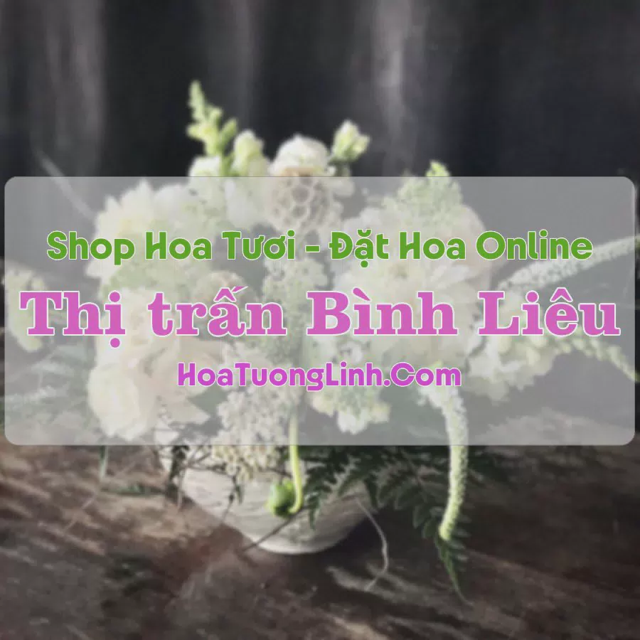 Shop Hoa Tươi Thị Trấn Bình Liêu - Quảng Ninh