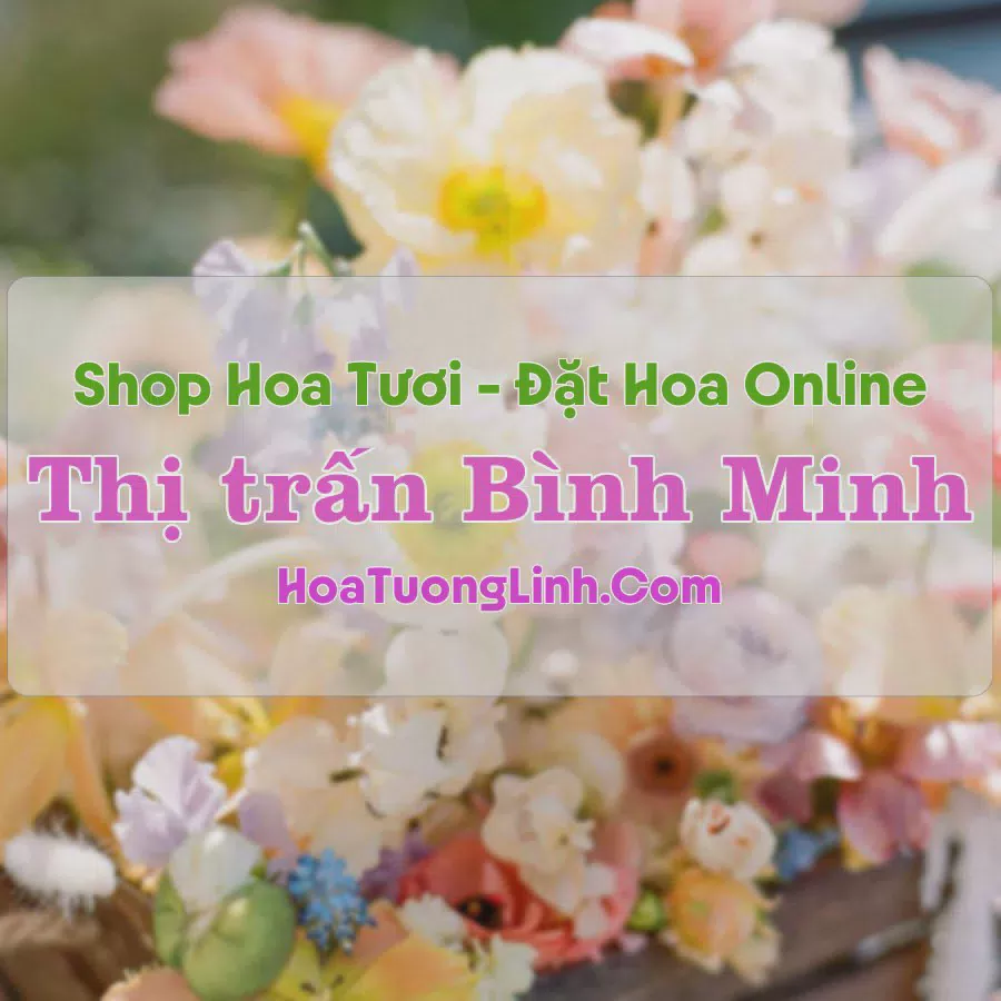 Shop Hoa Tươi Thị Trấn Bình Minh - Ninh Bình
