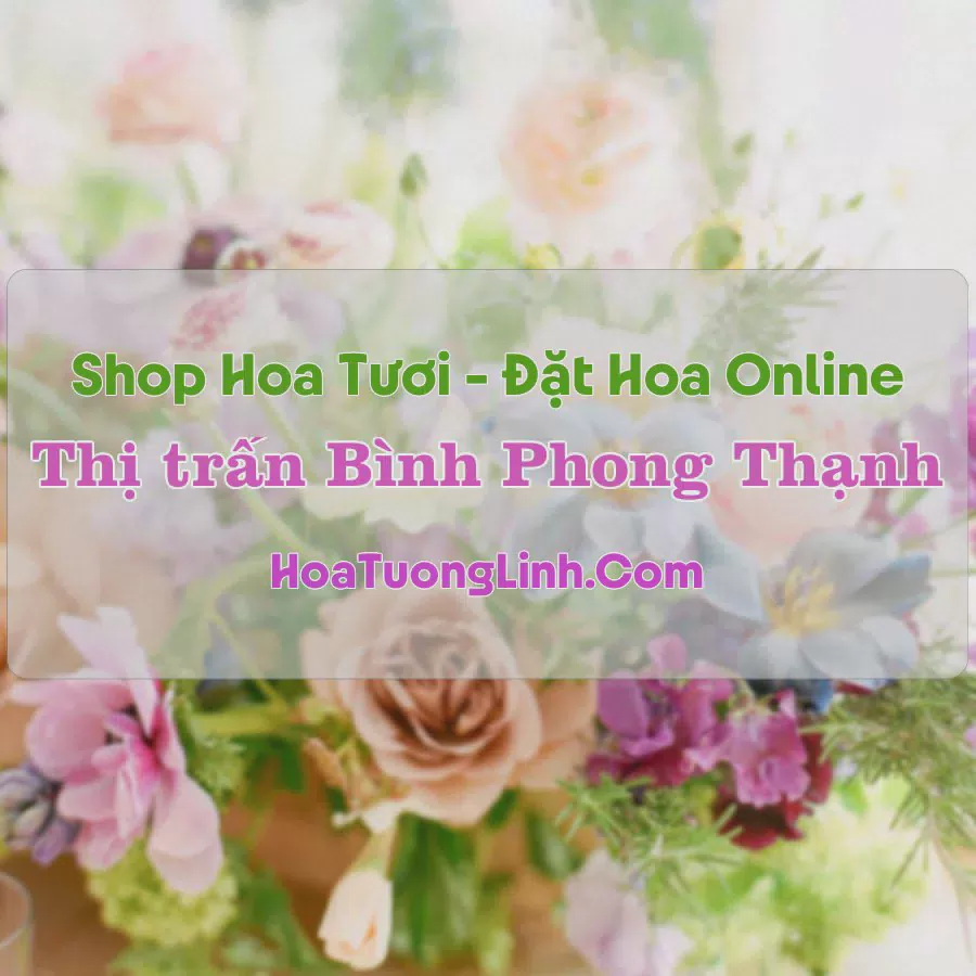 Shop Hoa Tươi Thị Trấn Bình Phong Thạnh - Long An