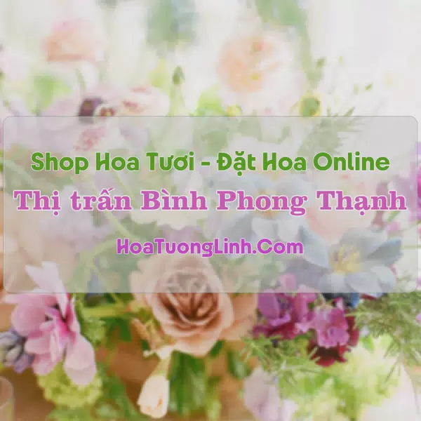 Shop Hoa Tươi Thị Trấn Bình Phong Thạnh - Long An