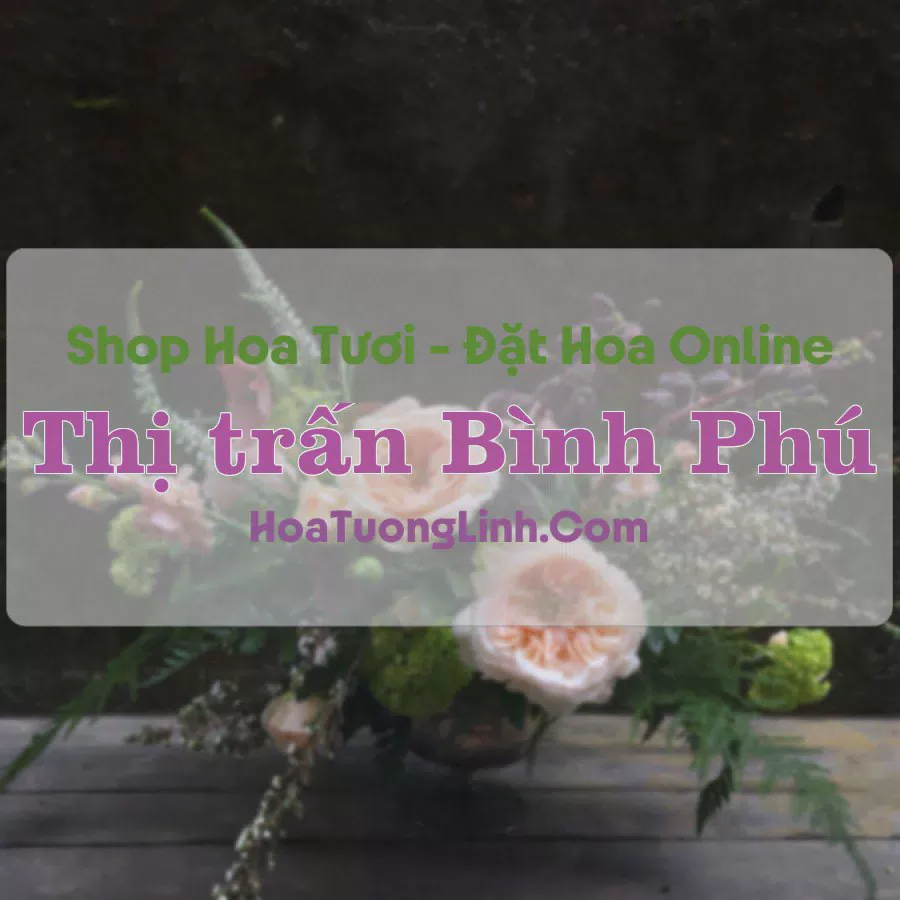 Shop Hoa Tươi Thị trấn Bình Phú - Tiền Giang