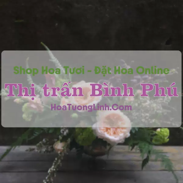 Shop Hoa Tươi Thị trấn Bình Phú - Tiền Giang