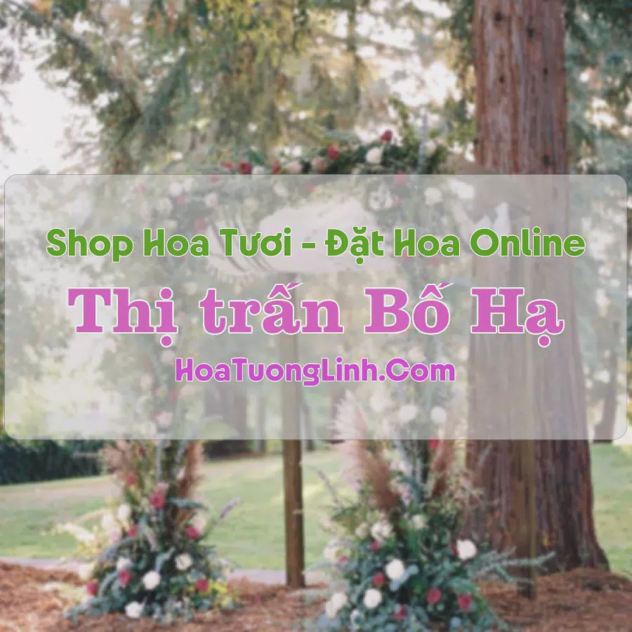 Shop Hoa Tươi Thị Trấn Bố Hạ - Bắc Giang