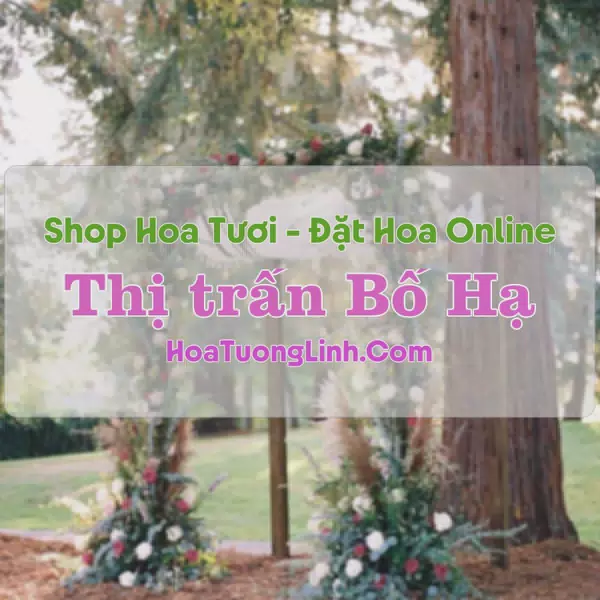 Shop Hoa Tươi Thị Trấn Bố Hạ - Bắc Giang