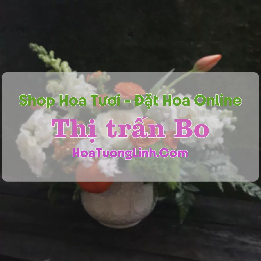Shop Hoa Tươi Thị Trấn Bo - Hòa Bình