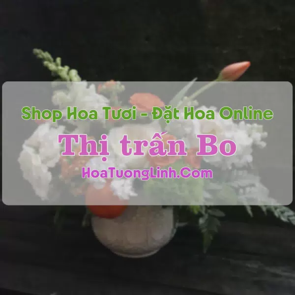Shop Hoa Tươi Thị Trấn Bo - Hòa Bình
