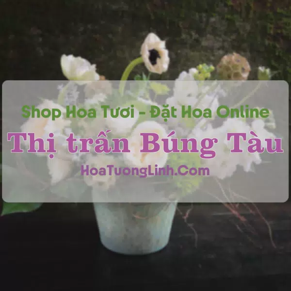Shop Hoa Tươi Thị trấn Búng Tàu - Hậu Giang