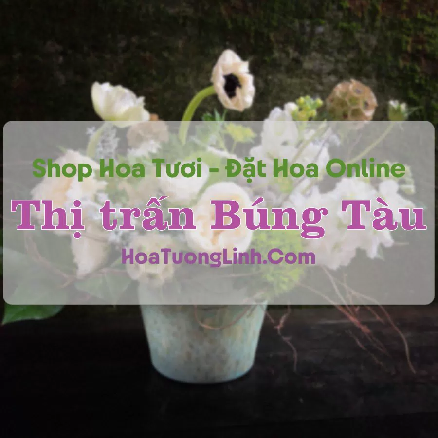 Shop Hoa Tươi Thị trấn Búng Tàu – Hậu Giang