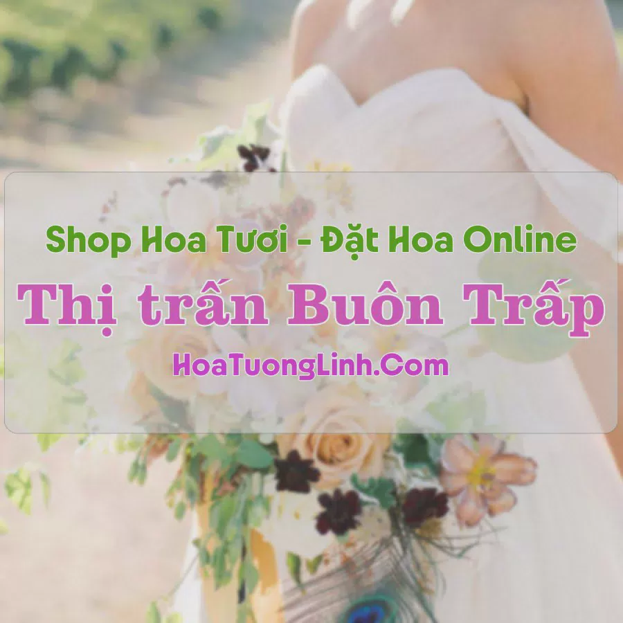 Shop Hoa Tươi Thị trấn Buôn Trấp - Đắk Lắk