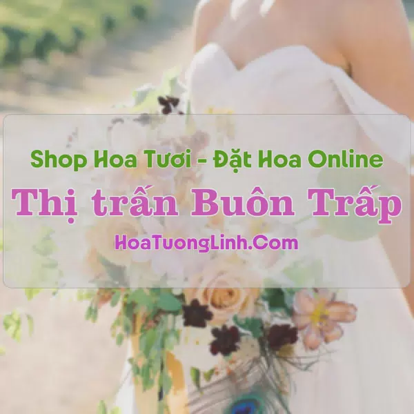 Shop Hoa Tươi Thị trấn Buôn Trấp - Đắk Lắk