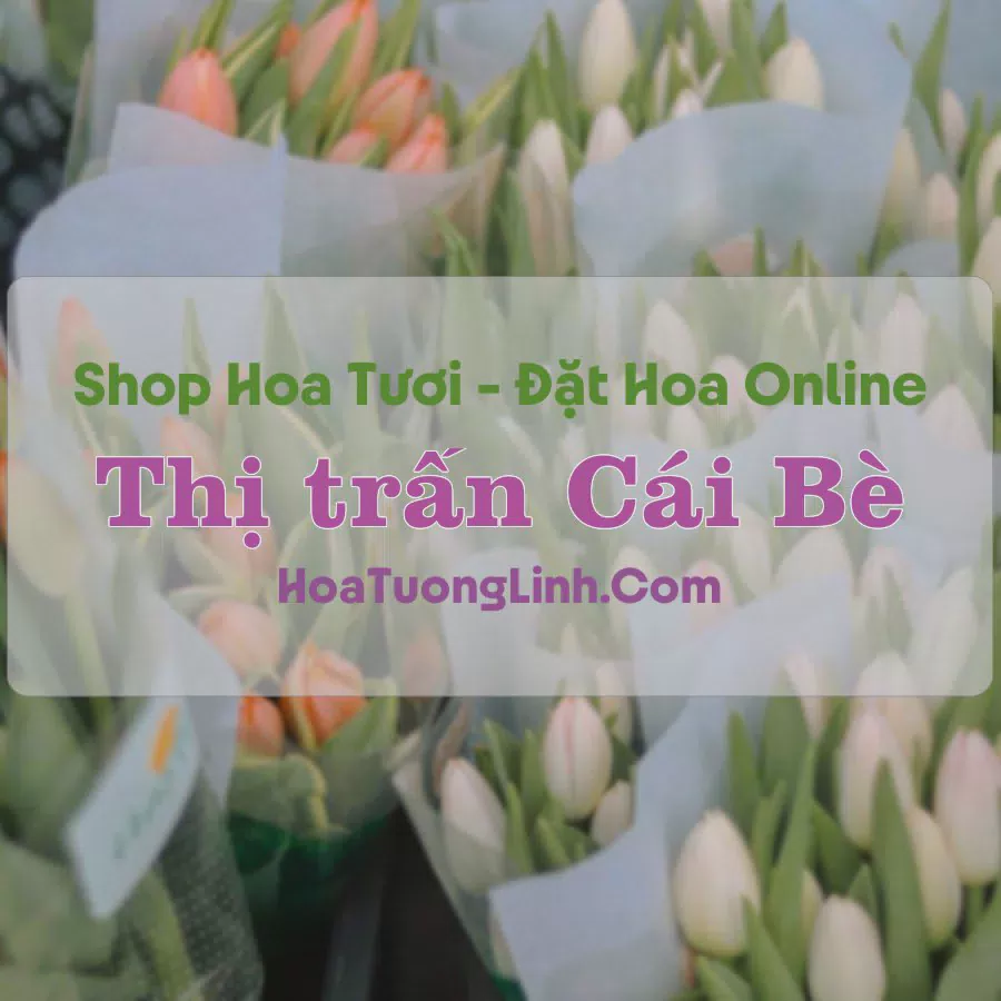 Shop Hoa Tươi Thị trấn Cái Bè - Tiền Giang