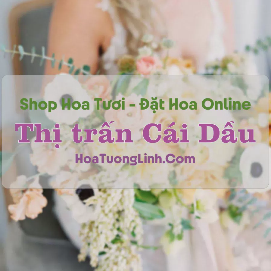 Shop Hoa Tươi Thị Trấn Cái Dầu - An Giang