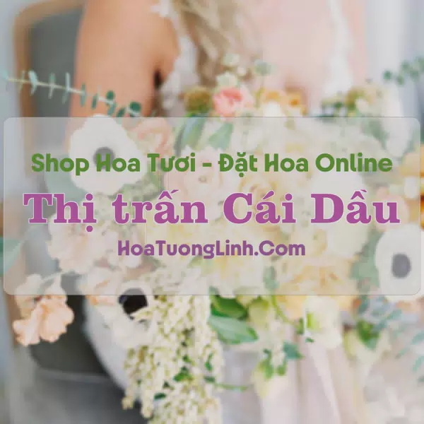 Shop Hoa Tươi Thị Trấn Cái Dầu - An Giang