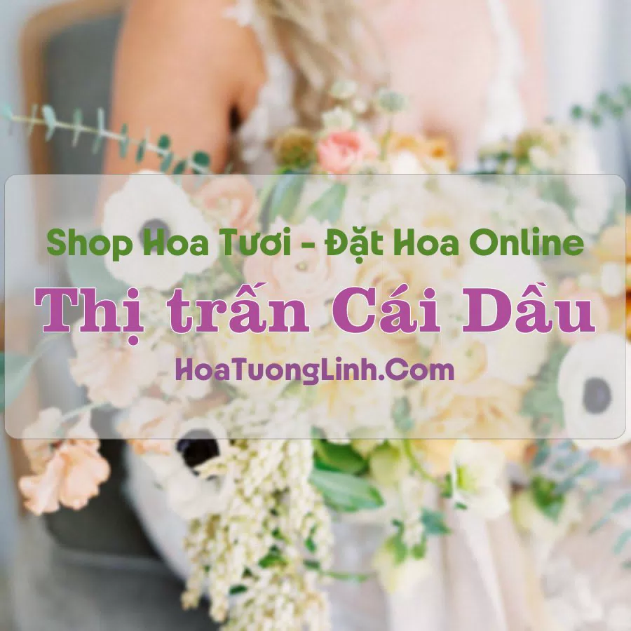Shop Hoa Tươi Thị Trấn Cái Dầu – An Giang