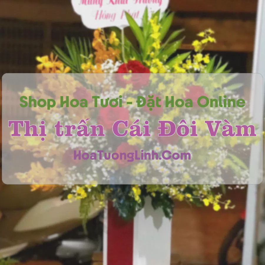 Shop Hoa Tươi Thị Trấn Cái Đôi Vàm - Cà Mau