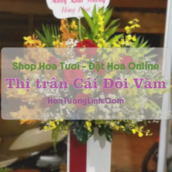 Shop Hoa Tươi Thị Trấn Cái Đôi Vàm - Cà Mau