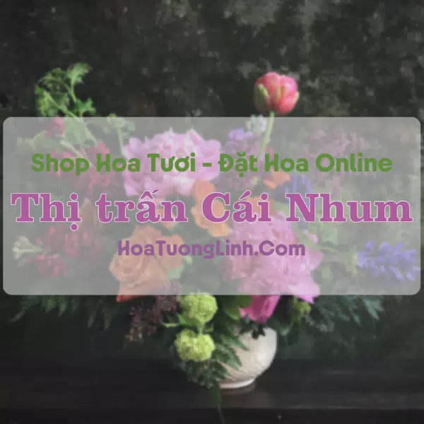 Shop Hoa Tươi Thị Trấn Cái Nhum - Vĩnh Long