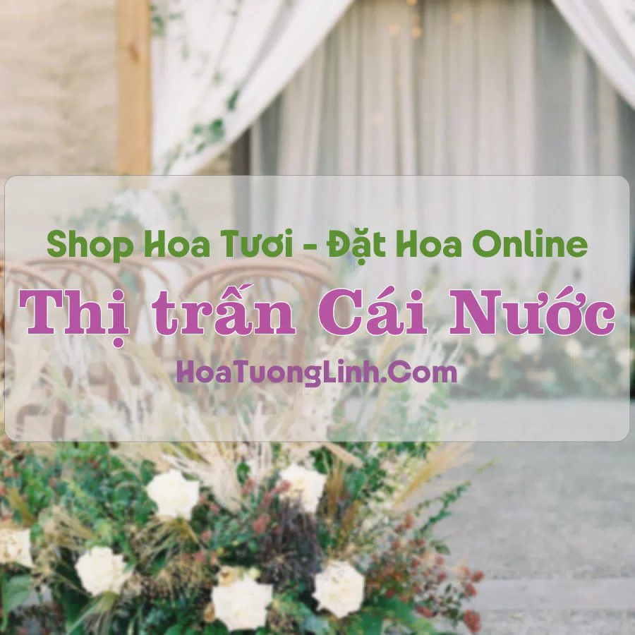 Shop Hoa Tươi Thị Trấn Cái Nước – Cà Mau