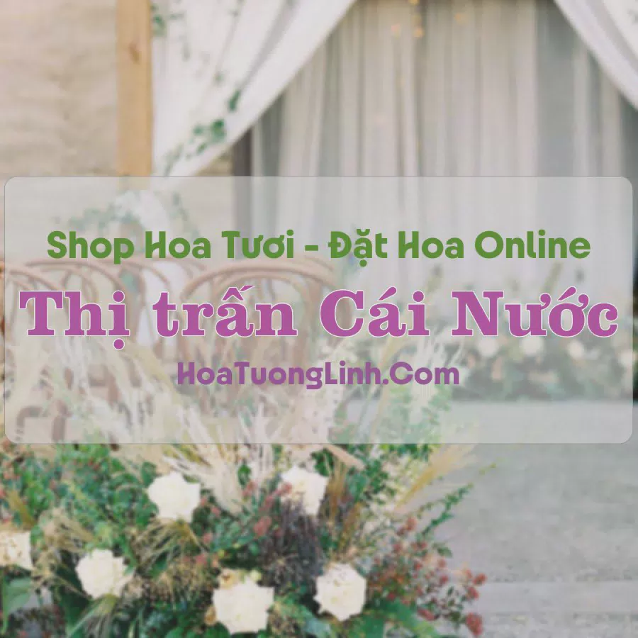 Shop Hoa Tươi Thị Trấn Cái Nước - Cà Mau