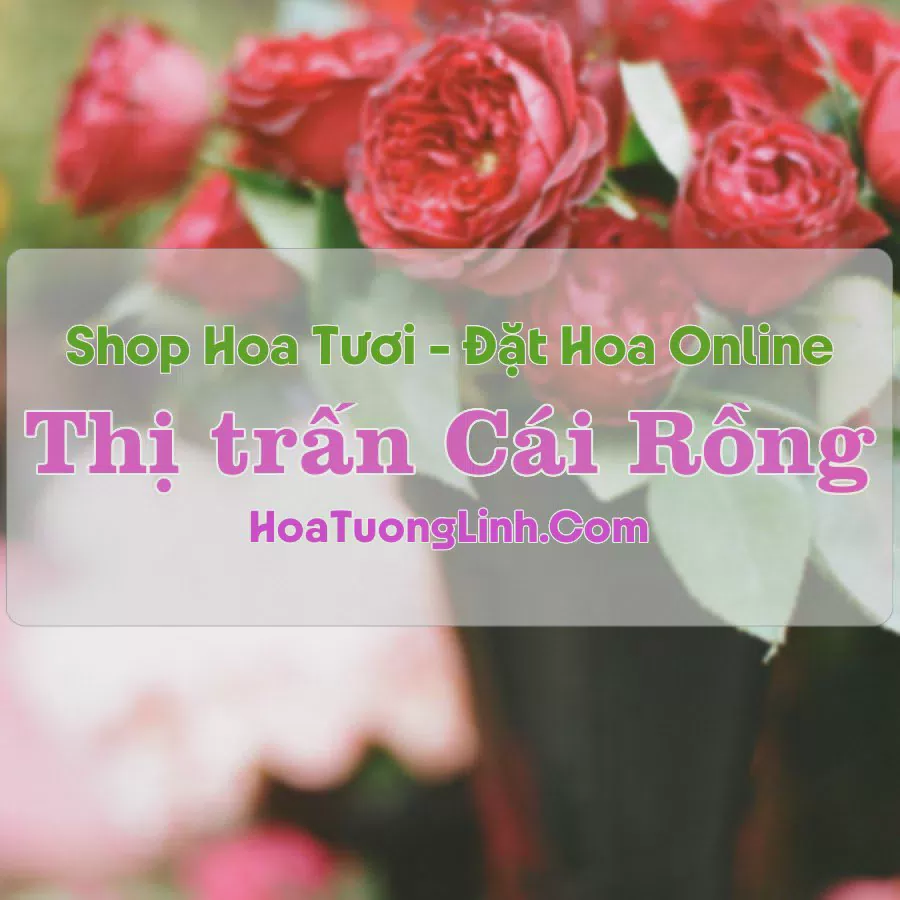 Shop Hoa Tươi Thị Trấn Cái Rồng - Vân Đồn