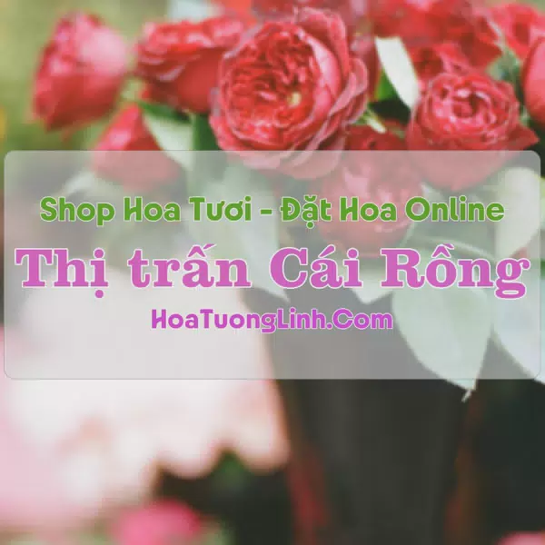 Shop Hoa Tươi Thị Trấn Cái Rồng - Vân Đồn