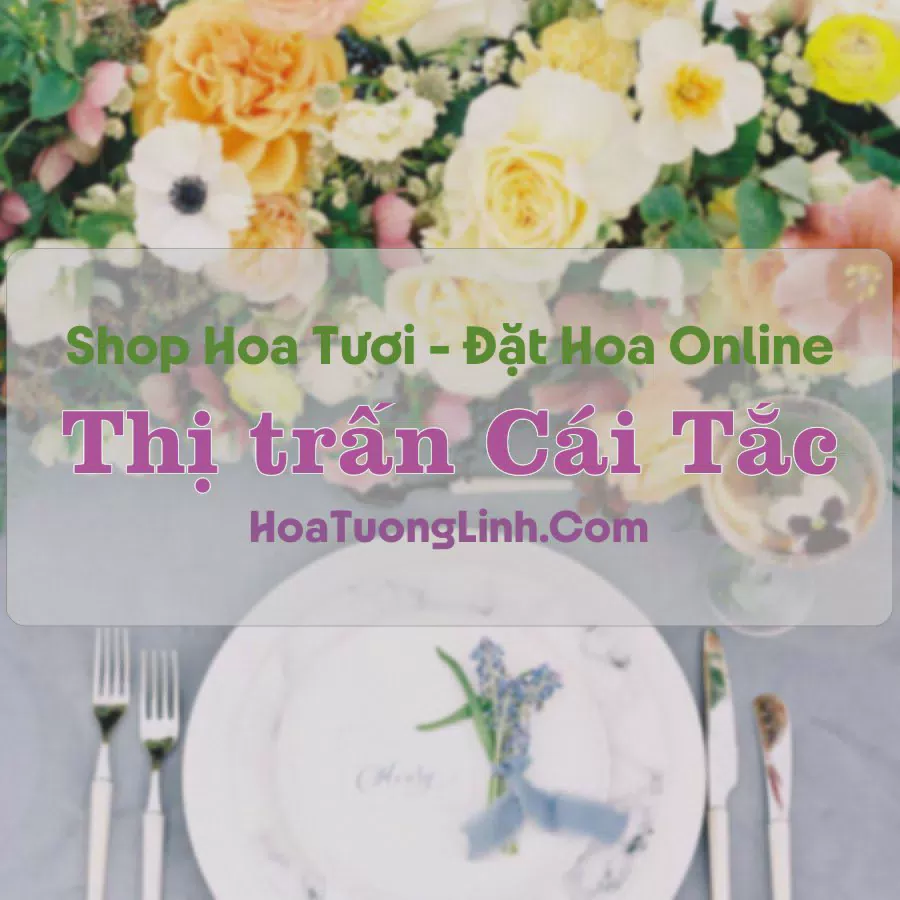 Shop Hoa Tươi Thị Trấn Cái Tắc - Hậu Giang