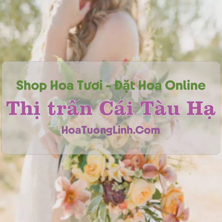 Shop Hoa Tươi Thị trấn Cái Tàu Hạ - Đồng Tháp