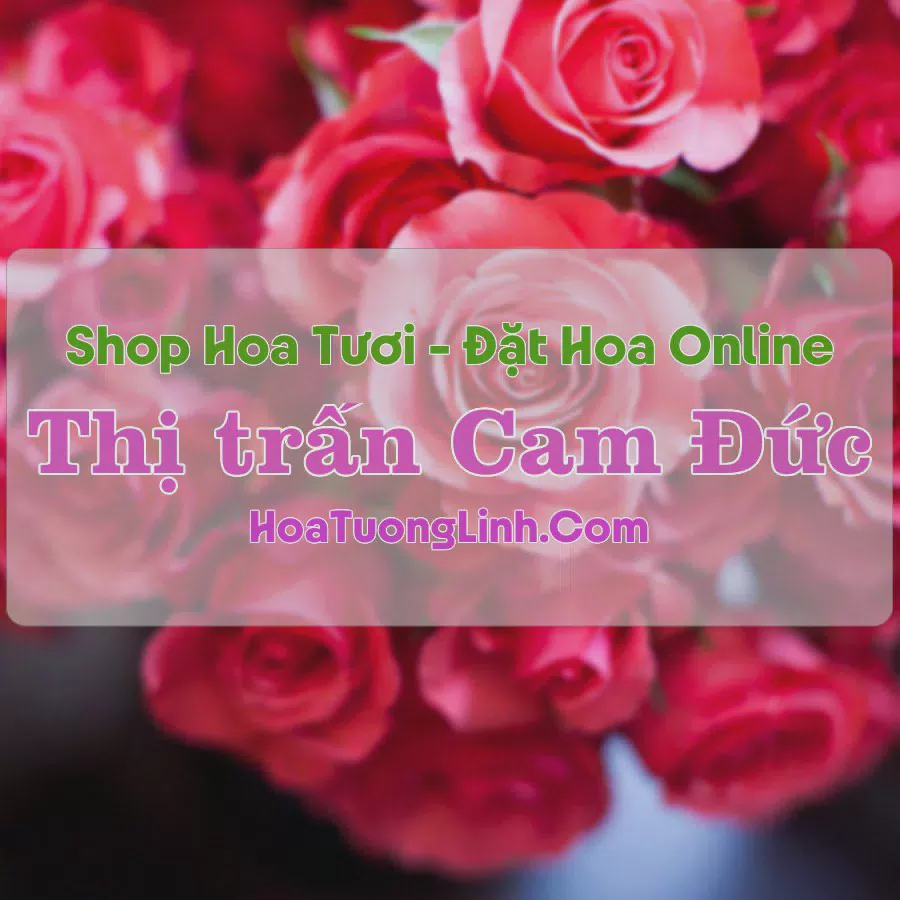Shop Hoa Tươi Thị trấn Cam Đức - Khánh Hòa