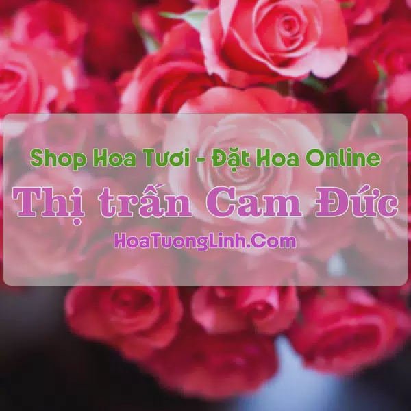 Shop Hoa Tươi Thị trấn Cam Đức - Khánh Hòa