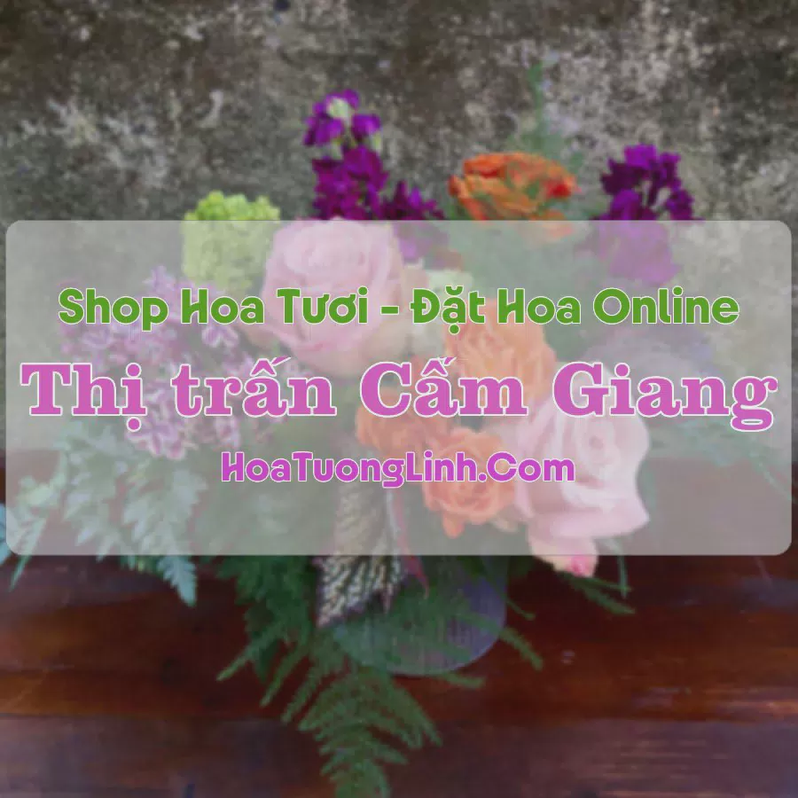 Shop Hoa Tươi Thị Trấn Cẩm Giang - Hải Dương