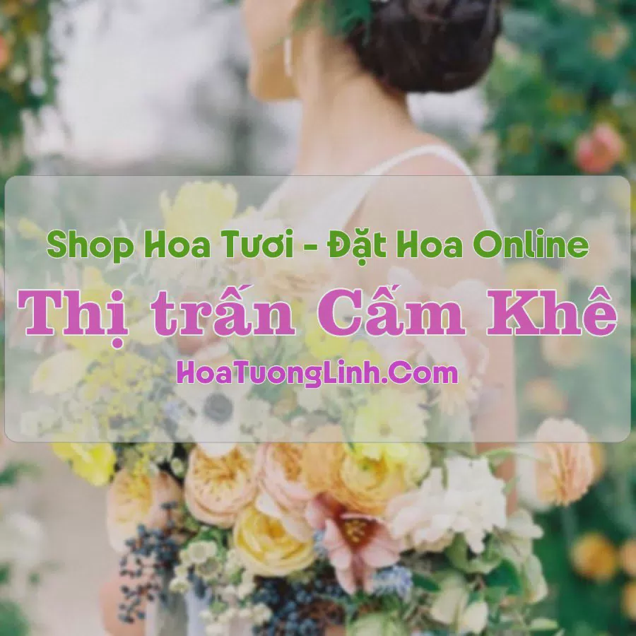 Shop Hoa Tươi Thị Trấn Cẩm Khê - Phú Thọ