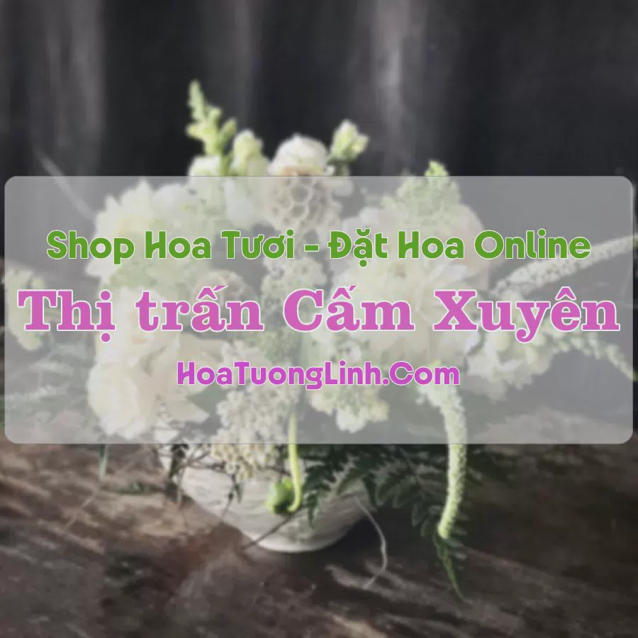 Shop Hoa Tươi Thị trấn Cẩm Xuyên - Hà Tĩnh