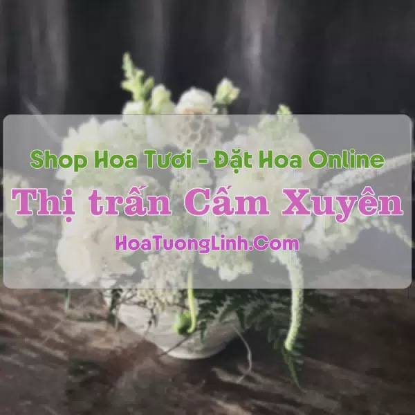 Shop Hoa Tươi Thị trấn Cẩm Xuyên - Hà Tĩnh